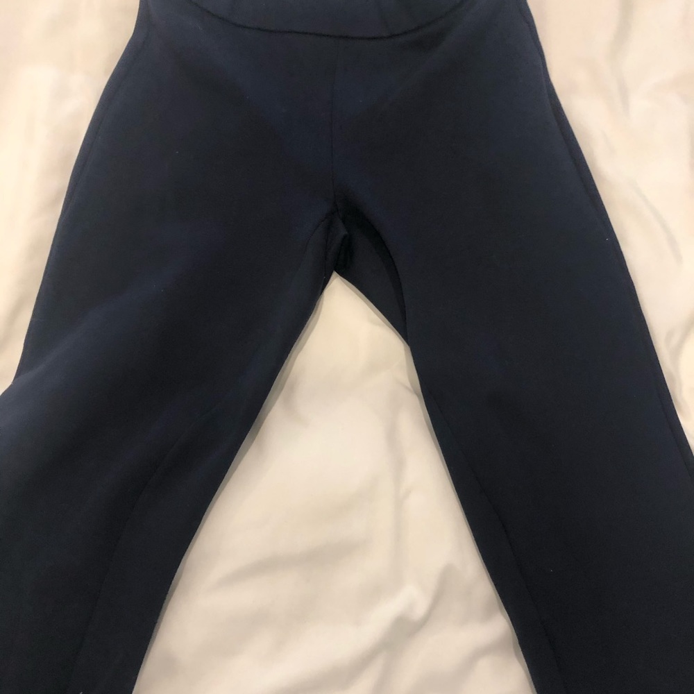 Jcrew Blue Pixie Pants - image 1